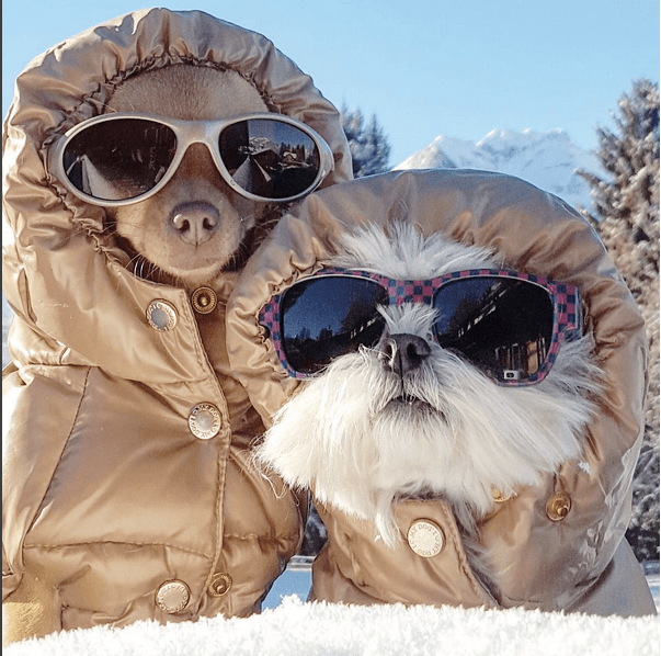 Screen shot 2016-02-23 at 12.45.45 PM