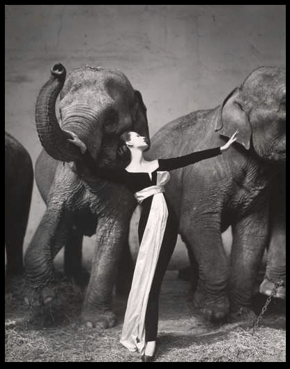 Screen Shot 2016-05-16 at 11.42.10 AM.png