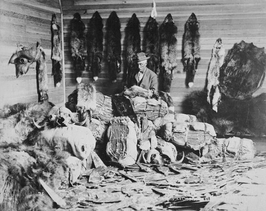 alberta_1890s_fur_trader