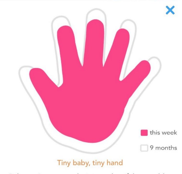 screen-shot-2016-11-29-at-9-41-56-pm